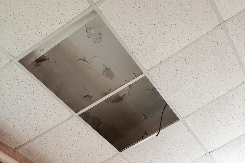 Water Damage Ceiling Repair in Conroe, TX