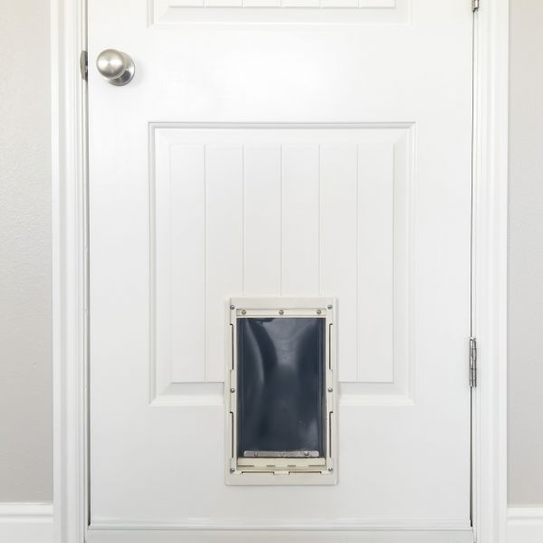 Pet Door Repair Service