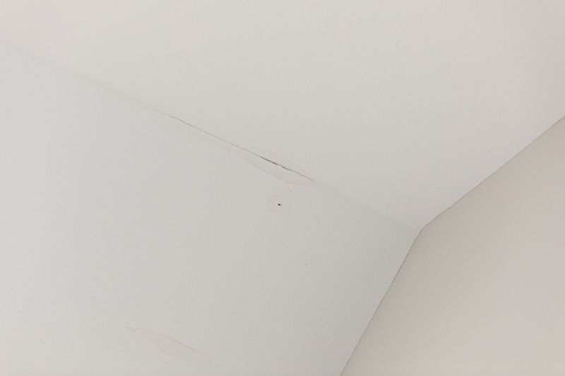 Attic Water Damage Repair in Charleston, SC
