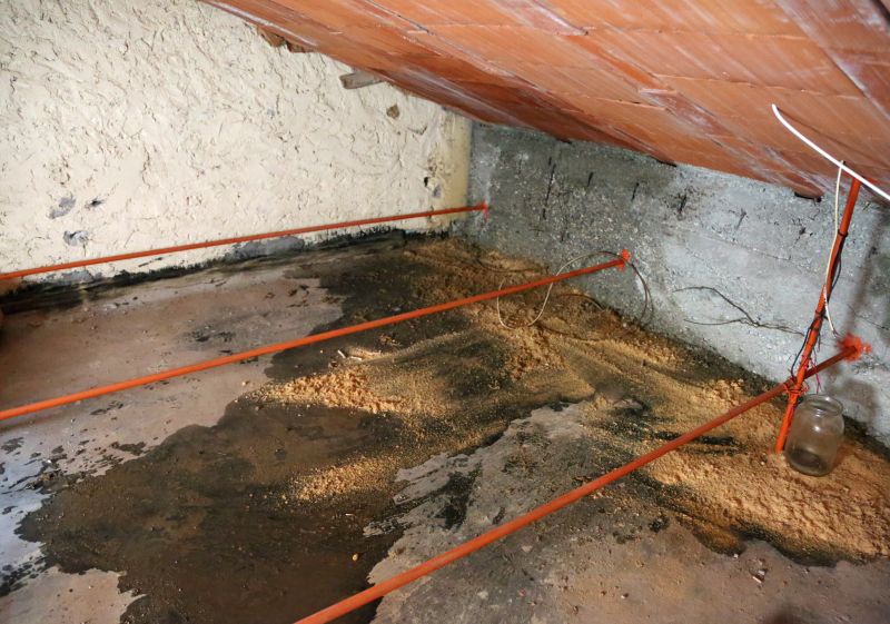 Ceiling Leak Repair Service in Santa Rosa, CA