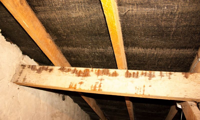 Crawl Space Remediation in Denver County, CO